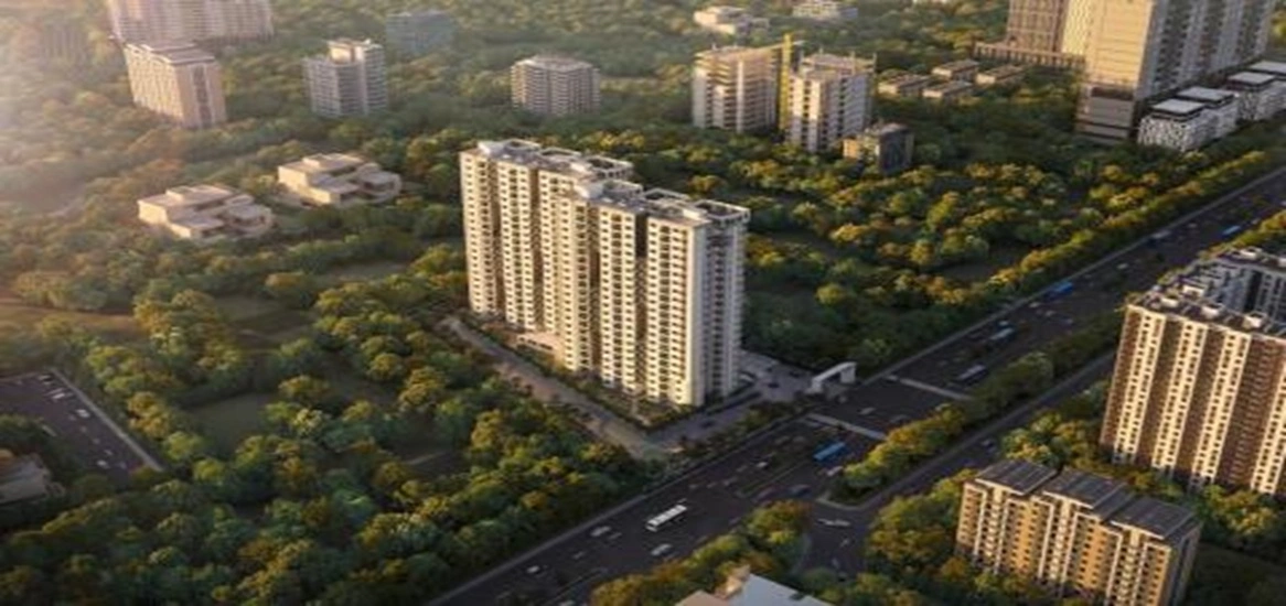 MJR Codename Life is Green Night View